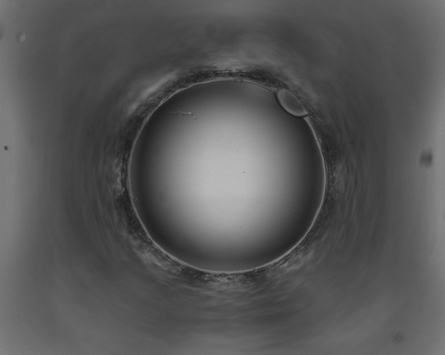X0000093571205200710151120
