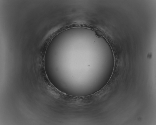 X0000093571207200710151120