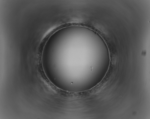 X0000093571208200710151120