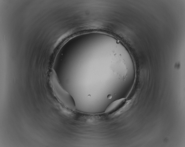 X0000093571210200710151120