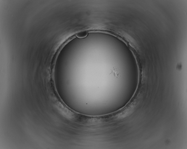 X0000093571212200710151120