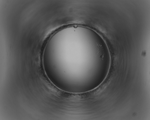 X0000093571214200710151120