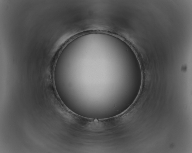 X0000093571215200710151121