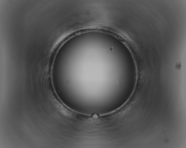 X0000093571216200710151121