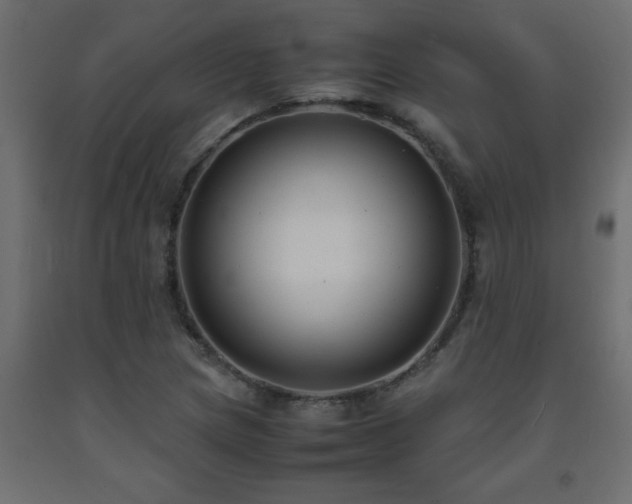 X0000093571217200710151121
