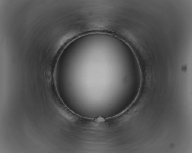 X0000093571218200710151121