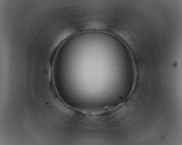 X0000093571219200710151121