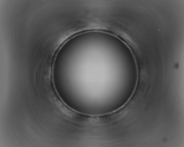 X0000093571220200710151121
