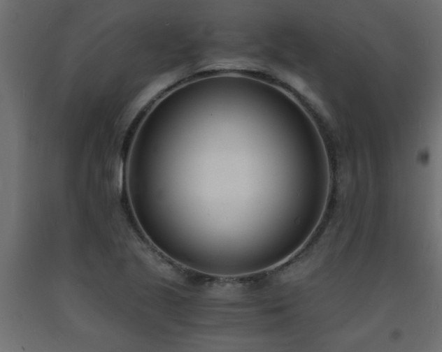 X0000093571221200710151121