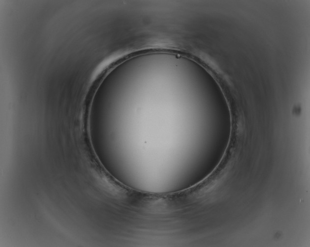 X0000093571222200710151121
