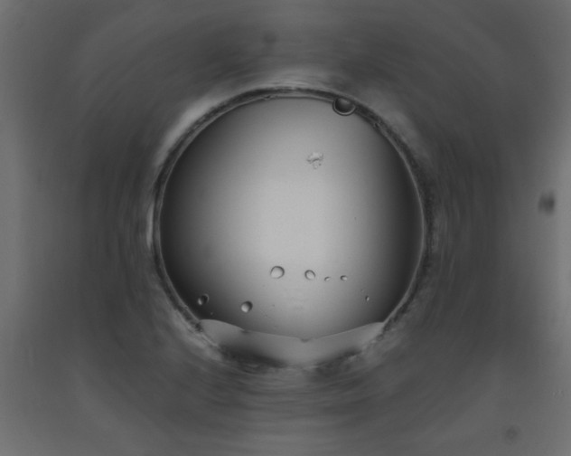 X0000093571224200710151121