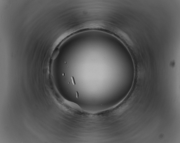 X0000093571226200710151121
