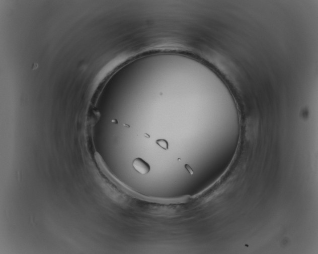 X0000093571229200710151121