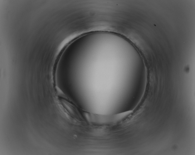 X0000093571230200710151121