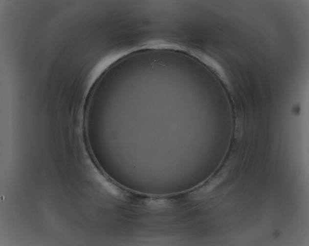 X0000093571231200710151121