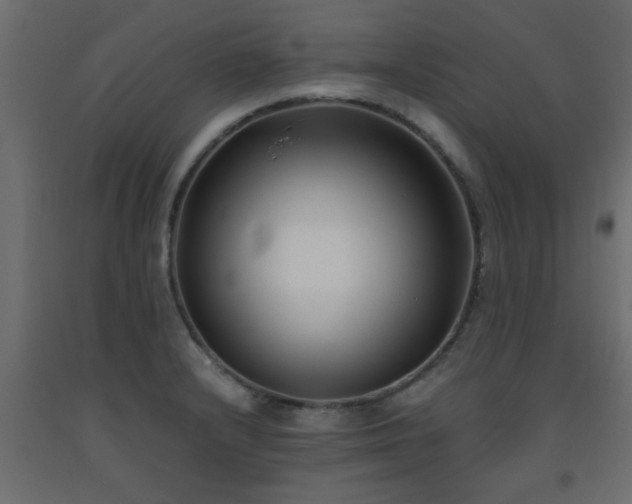X0000093571232200710151121