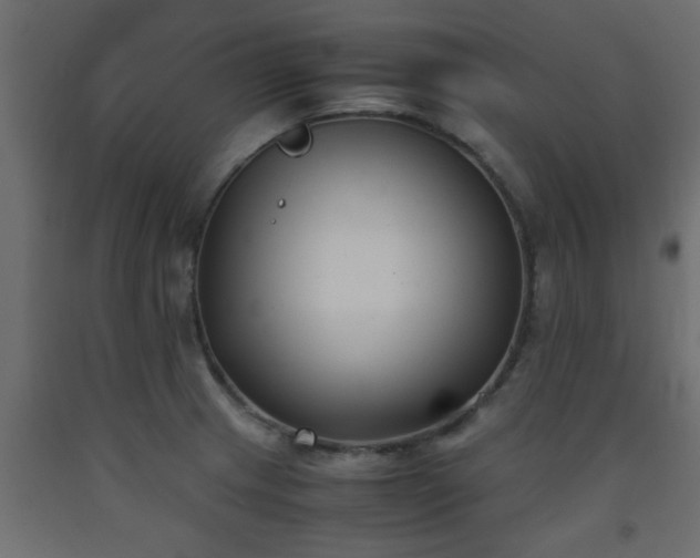 X0000093571233200710151121
