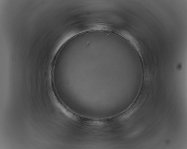 X0000093571235200710151121