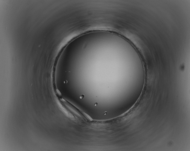 X0000093571237200710151121