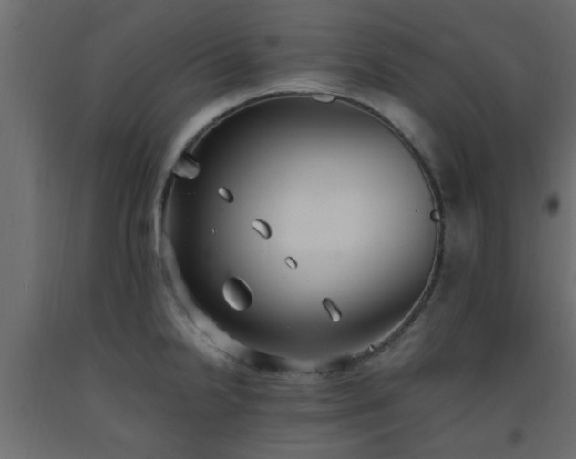 X0000093571238200710151121