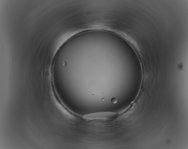 X0000093571239200710151121
