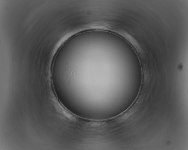 X0000093571240200710151121