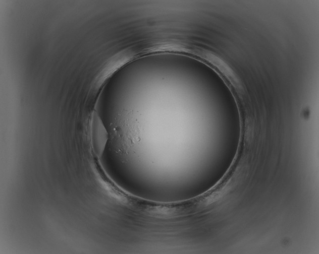 X0000093571241200710151121