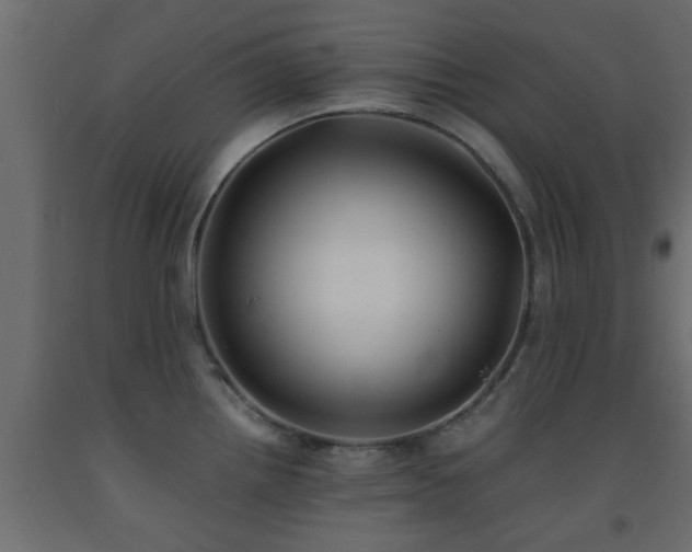 X0000093571242200710151121