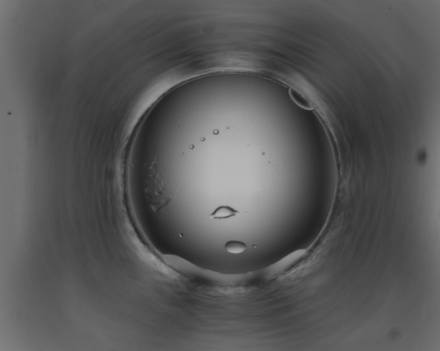 X0000093571243200710151121