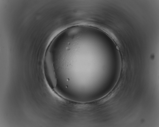 X0000093571247200710151121
