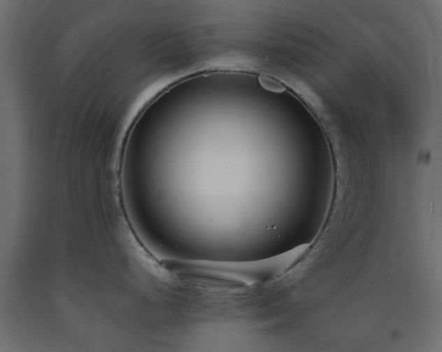 X0000093571248200710151121