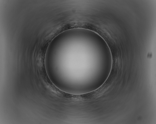 X0000093571250200710151120