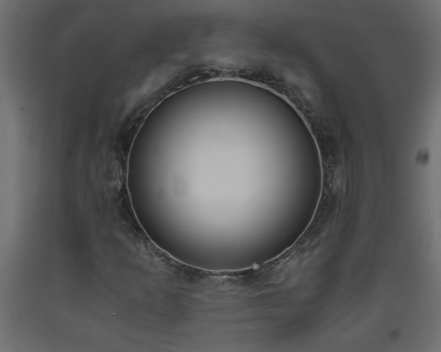X0000093571253200710151120