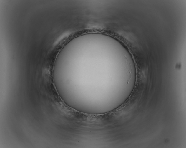 X0000093571254200710151120