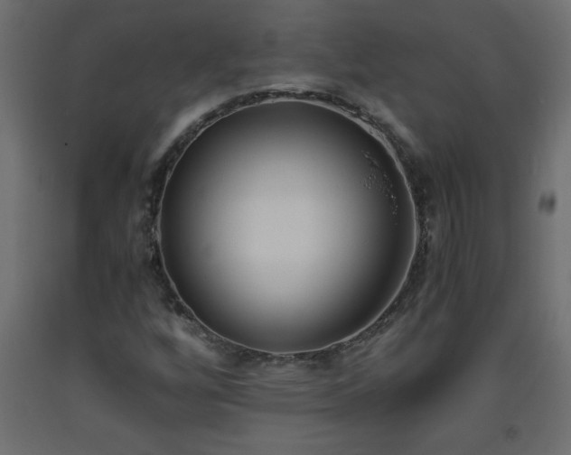 X0000093571256200710151120