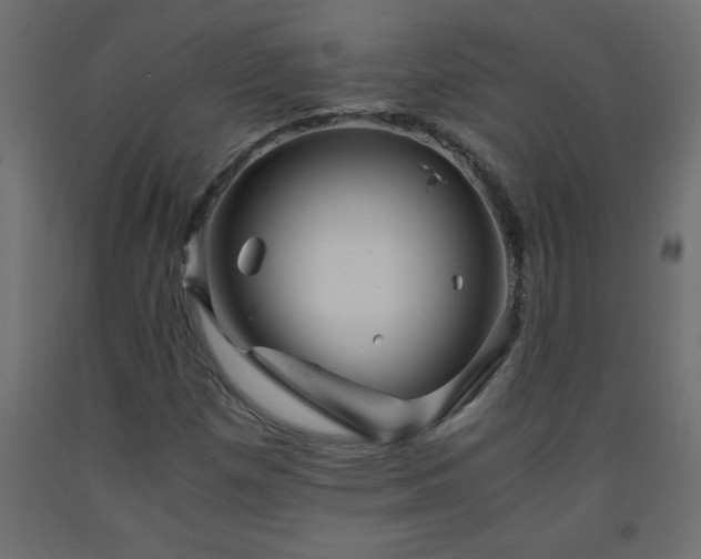 X0000093571257200710151120