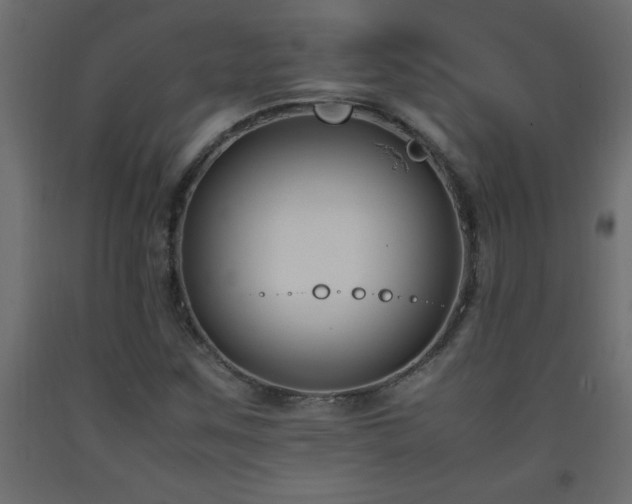 X0000093571259200710151120