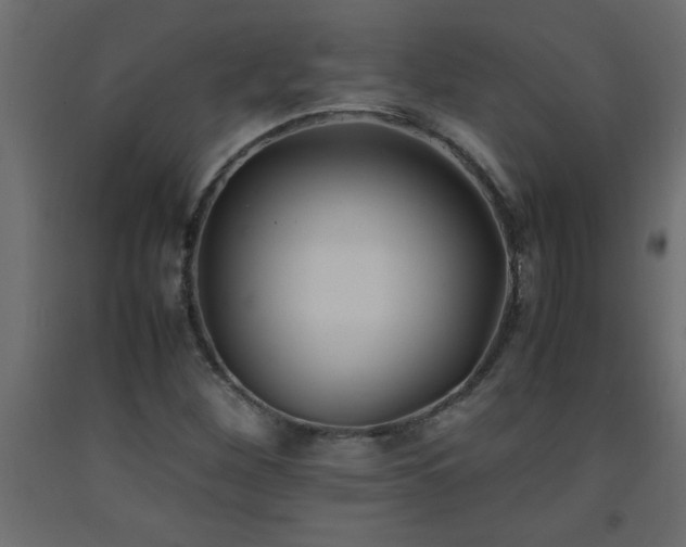 X0000093571260200710151120