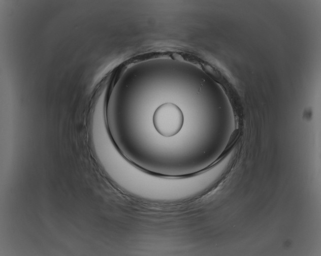 X0000093571261200710151120