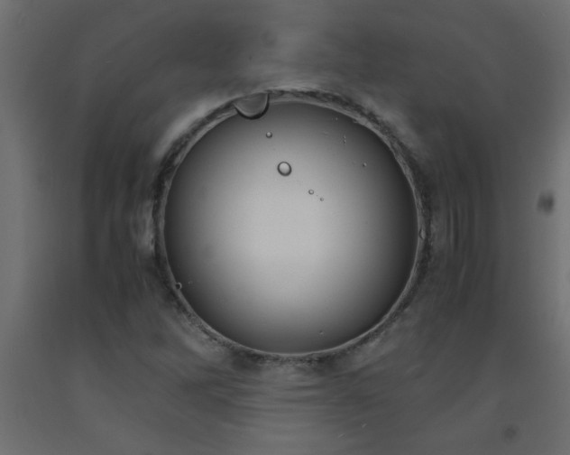 X0000093571262200710151120