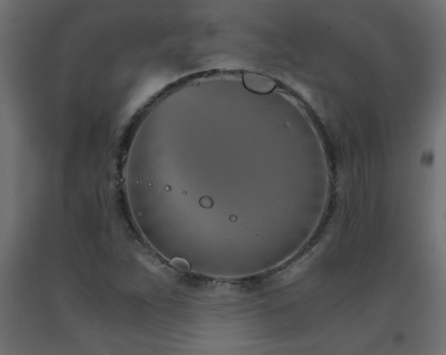 X0000093571263200710151120