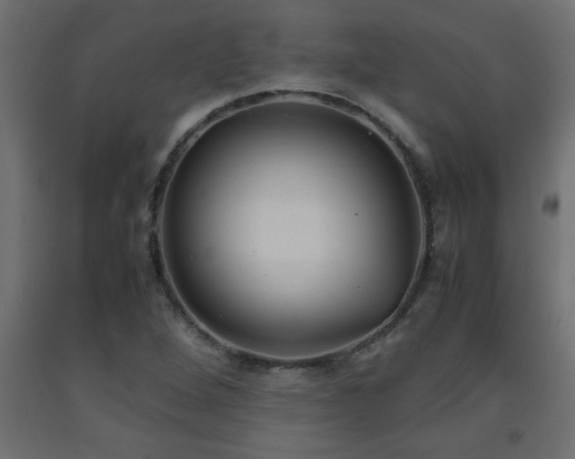 X0000093571264200710151120