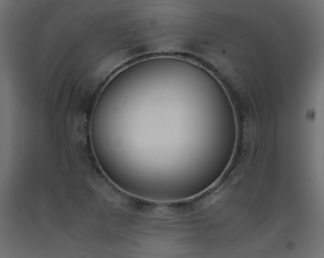 X0000093571265200710151120