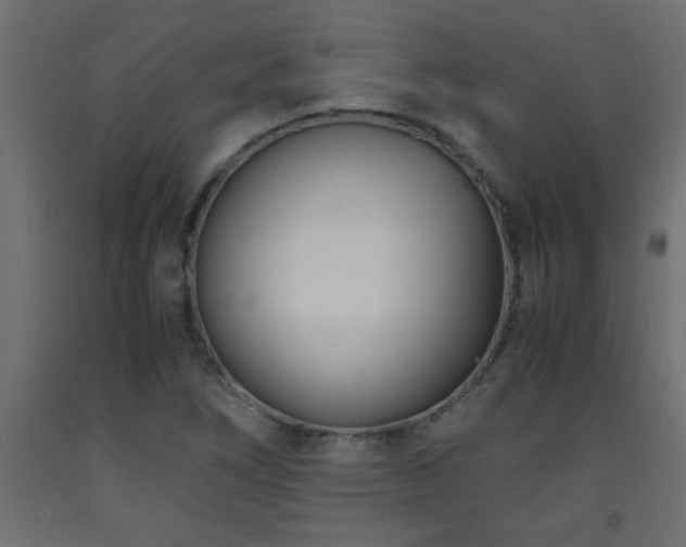 X0000093571266200710151120