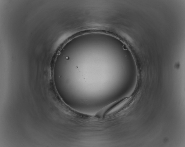X0000093571267200710151120