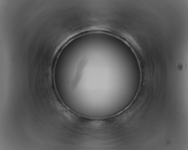 X0000093571268200710151120