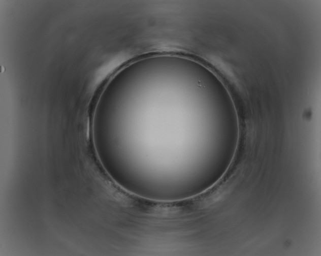 X0000093571269200710151120