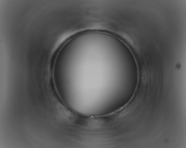 X0000093571270200710151120
