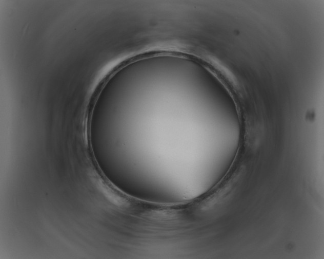 X0000093571272200710151120