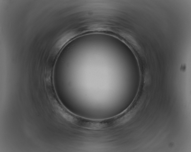 X0000093571273200710151120